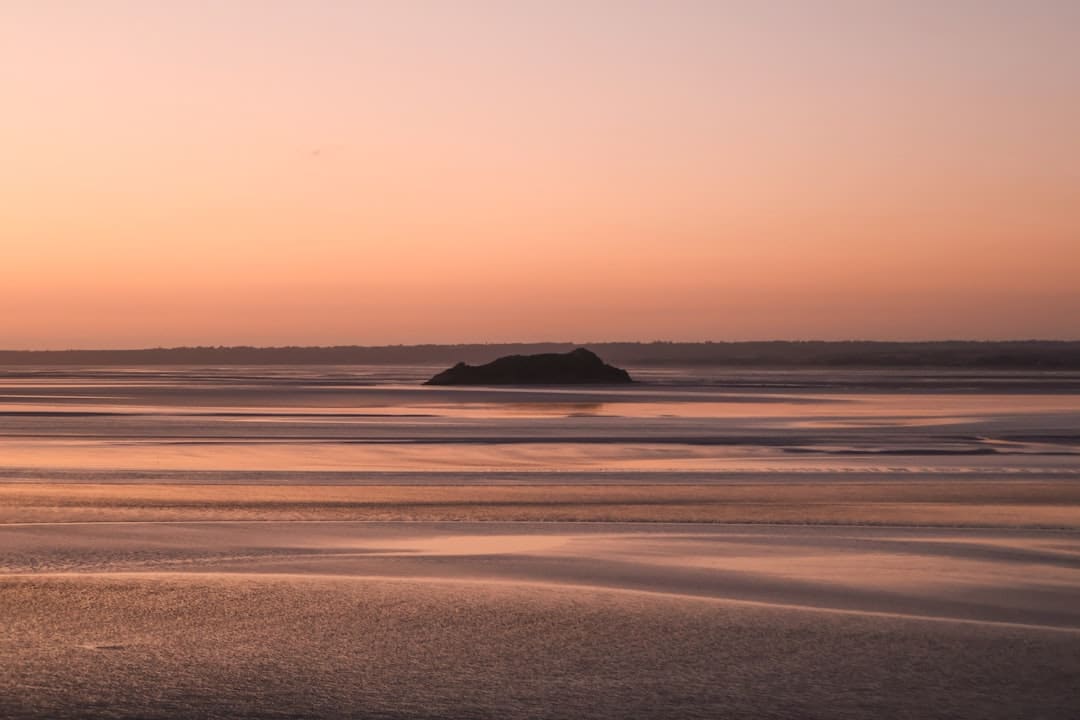 诏安梅岭：七夕献血传递爱 志愿服务暖人心